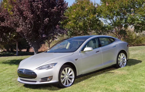 Природа, седан, Tesla, Model S