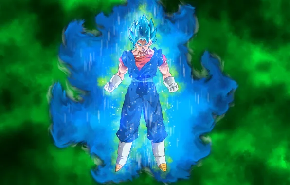 Dragon ball, dragon ball super, Vegito Dragon, Vegito Blue