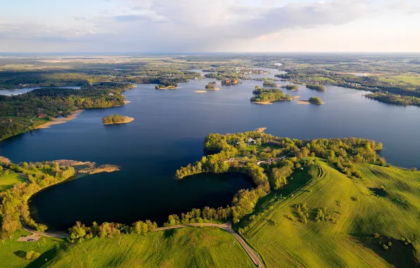 ЛЕС, ТРАВА, ГОРИЗОНТ, НЕБО, ДЕРЕВЬЯ, ПОЛЯ, ОСТРОВА, ДАЛЬ