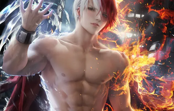 Sakimichan, Boku No Hero Academia, Тодороки Шото, Моя геройская акадеимя