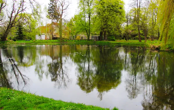 Water, park, lake, spring, pond