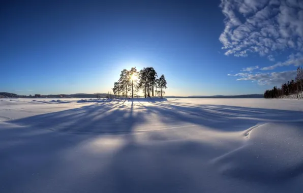 Nature, snow, sun
