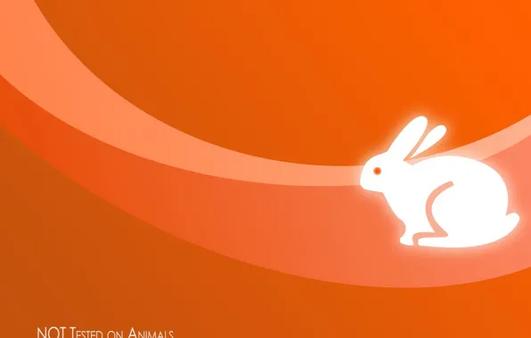 Картинка оранжевый, минимализм, кролик