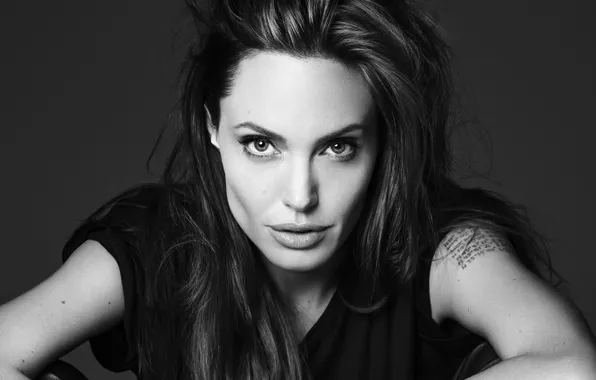 Картинка взгляд, девушка, обои, актриса, брюнетка, Анджелина Джоли, Angelina Jolie, черно-белое