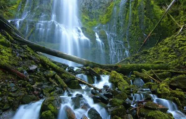 Картинка камни, водопад, мох, Орегон, каскад, Oregon, брёвна, Three Sisters Wilderness