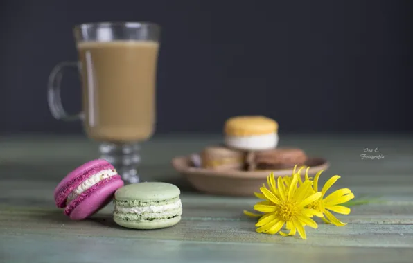 Цветы, кофе, печенье, desert, sweet, macaron, макаруны