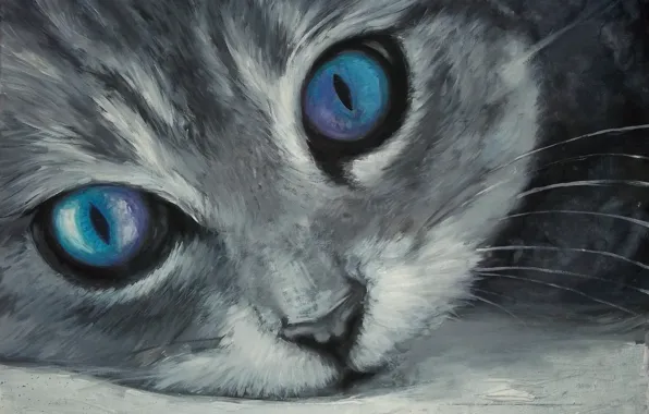 Картинка кошка, мордочка, голубые глаза