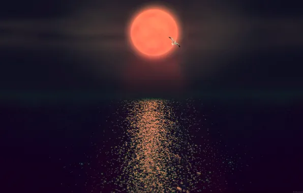 Море, ночь, лунная дорожка