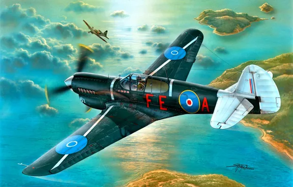 Warhawk, Zero, Kittyhawk Mk.III, с двигателем, Allison V-1710-73, Royal New Zealand Air Force, P-4OK, шесть …
