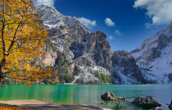 Осень, горы, озеро, дерево, лодки, Италия, Italy, Доломитовые Альпы