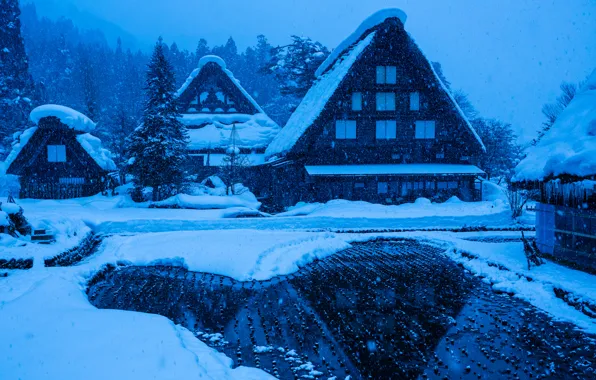 Картинка зима, снег, дом, Япония, остров Хонсю, Гокаяма, Сиракава-го