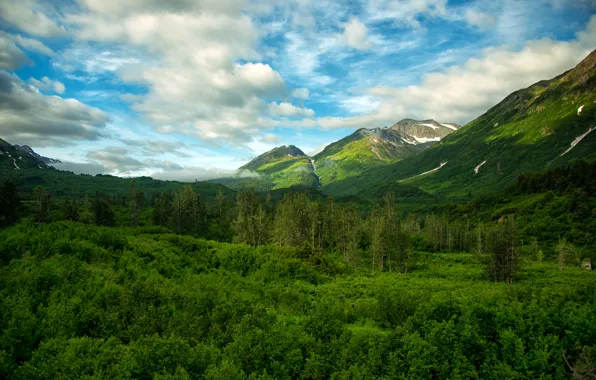 Картинка горы, США, леса, Chugach National Forest Alaska