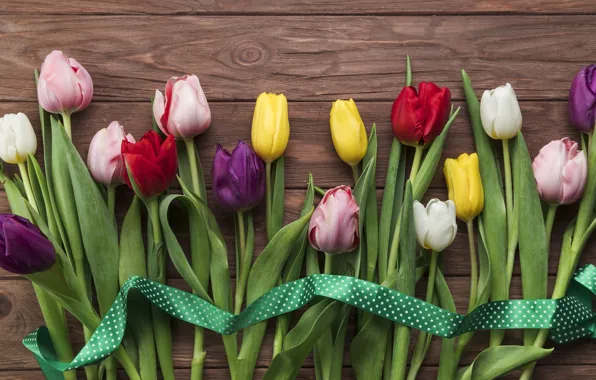 Цветы, colorful, тюльпаны, flowers, beautiful, tulips, spring, multicolored