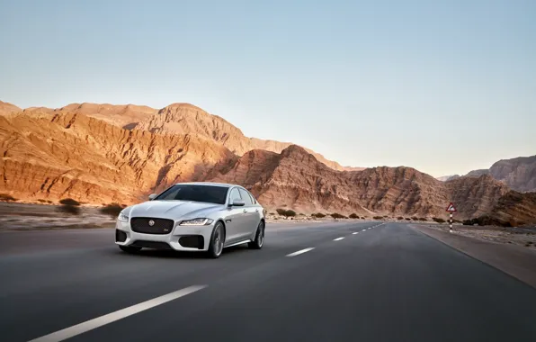 Jaguar, Дорога, Скорость, Пейзаж, Speed, White, Road, 2016
