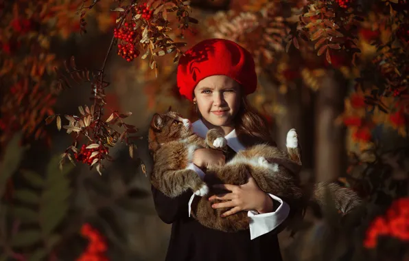 Картинка осень, кошка, ветки, ягоды, девочка, берет, рябина, Алина Иванова