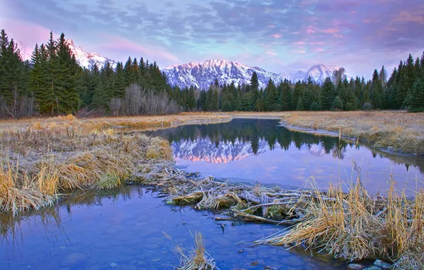 Картинка небо, облака, деревья, горы, река, ель, сша, wyoming