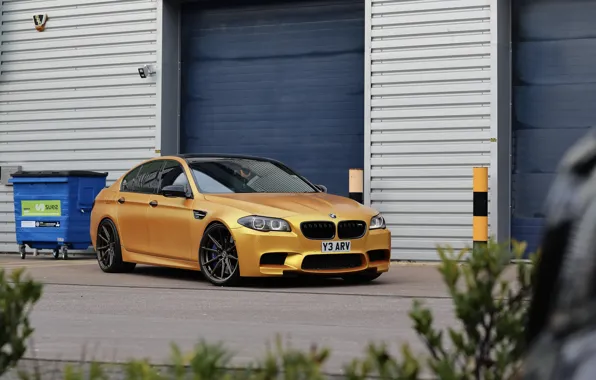 Картинка BMW, F10, Wheels, Bronze, M5
