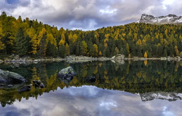 Осень, лес, деревья, горы, озеро, отражение, Швейцария, Switzerland
