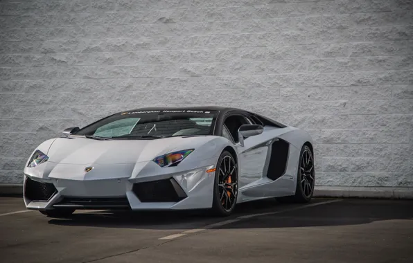 Картинка Lamborghini, Ламборджини, Beach, LP700-4, Aventador, Gray, Авентадор, Newport