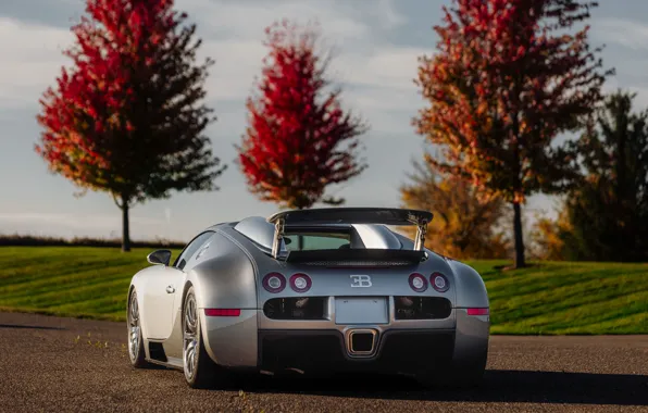 Картинка Bugatti, Veyron, Bugatti Veyron, 16.4, rear view