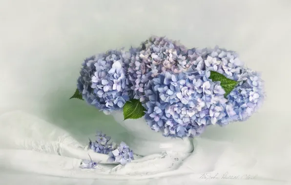 Картинка белый, цветы, букет, арт, ткань, ваза, натюрморт, живопись