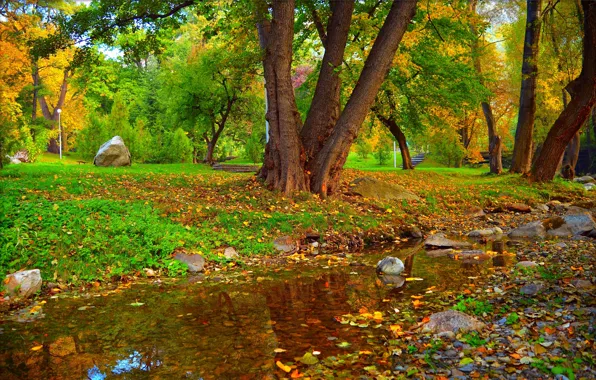 Осень, Деревья, Ручей, Парк, Fall, Листва, Park, Autumn