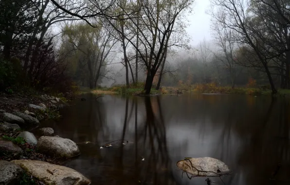 Картинка осень, лес, туман, озеро, камни