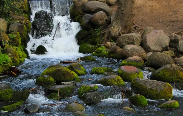 River, water, park, waterfall, stones