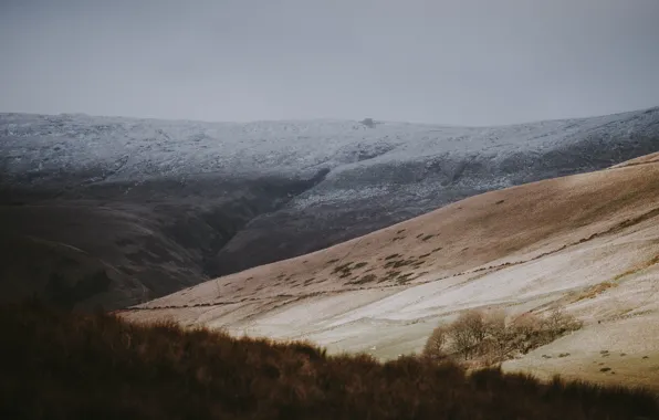 Поле, природа, трава nature