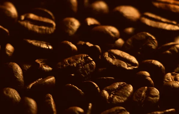 Dark, coffee, seeds
