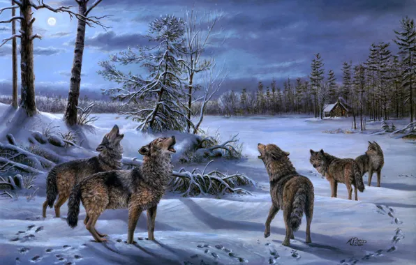 Зима, лес, ночь, луна, волк, стая, волки, хижина