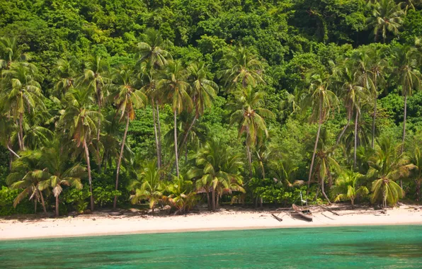 Картинка песок, пейзаж, природа, тропический пляж, пальмы, океан, берег, остров