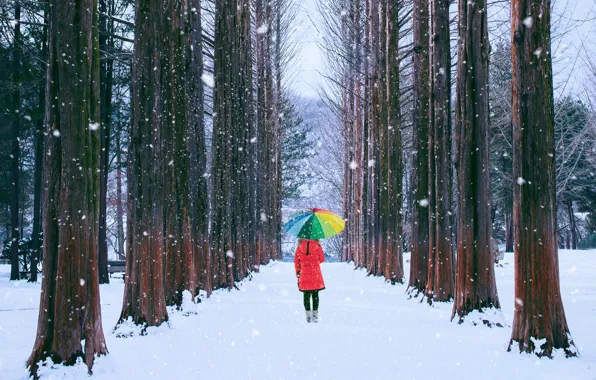 Картинка зима, девушка, снег, деревья, парк, зонт, girl, аллея