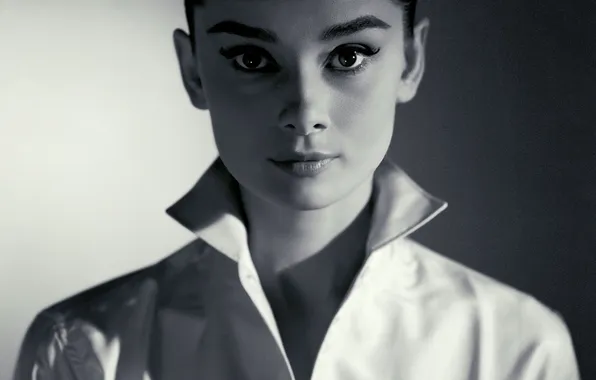 Портрет, актриса, брюнетка, Audrey Hepburn