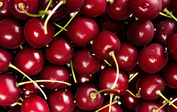 Капли, вишня, ягоды, урожай, много, черешня