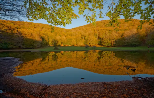 Картинка Природа, Отражение, Осень, Озеро, Лес, Fall, Листва, Autumn