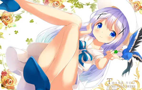 Девочка, Аниме, Розы, Gochuumon wa usagi desu ka?, Кролика Заказывали?