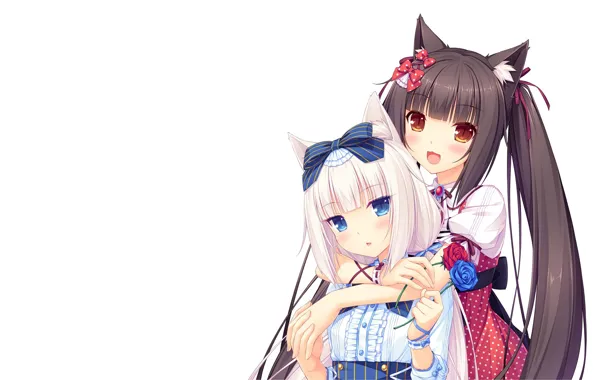 Kawaii, girl, neko, anime, cat, pretty, asian, cute