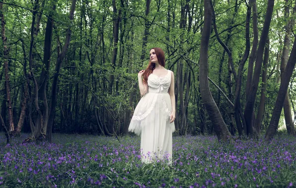 Картинка лес, цветы, женщина, волосы, белое платье