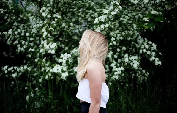 Девушка, куст, блондинка, профиль, белые цветы