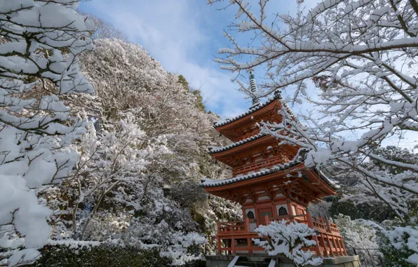 Картинка зима, снег, деревья, ветки, Япония, храм, пагода, Japan