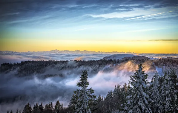 Картинка зима, небо, снег, горы, природа, туман, ели, Nature