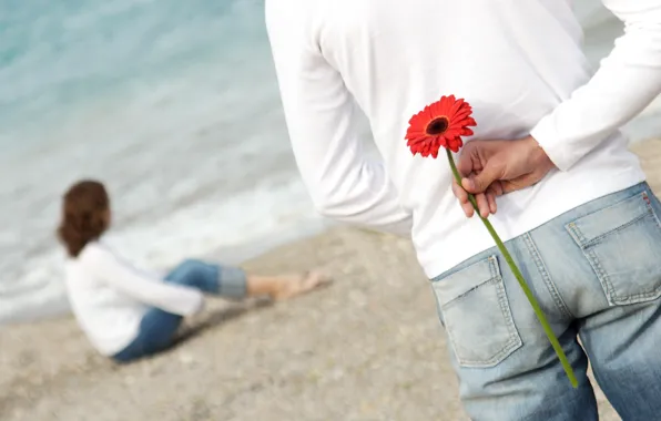 Пляж, цветок, любовь, романтика, пара