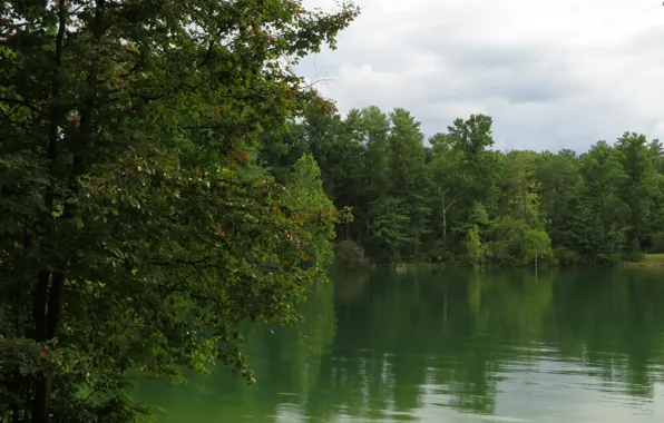 Картинка деревья, озеро, Природа, trees, nature, lake