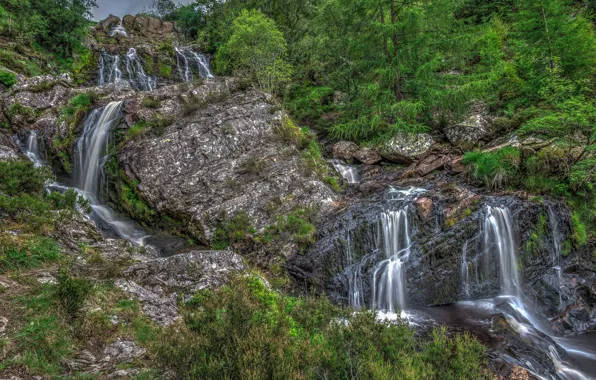 Зелень, вода, река, камни