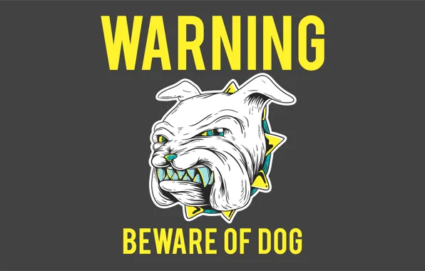 Собака, зубы, ошейник, dog, warning