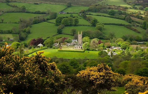 Зелень, деревья, поля, дома, деревня, панорама, храм, Devon