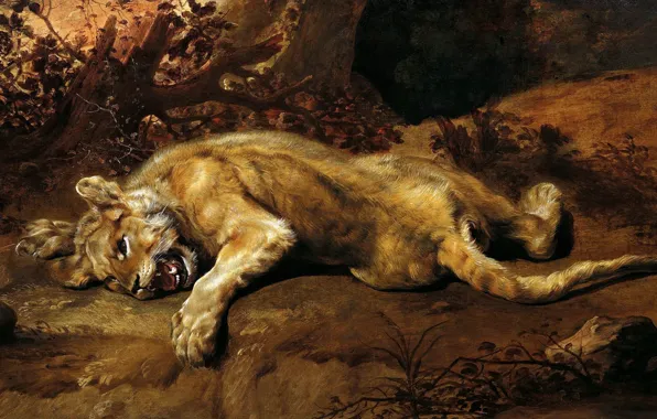 Картинка кошка, хищник, когти, клыки, живопись, Арт, золотой век