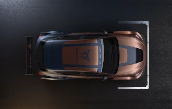 Вид сверху, Leon, Competition, Seat, Cupra, 2020