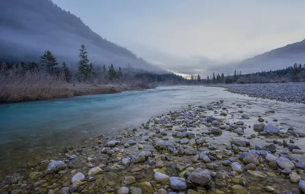Картинка Isar, Альпы, горы, туман, Германия, долина, деревья, лес